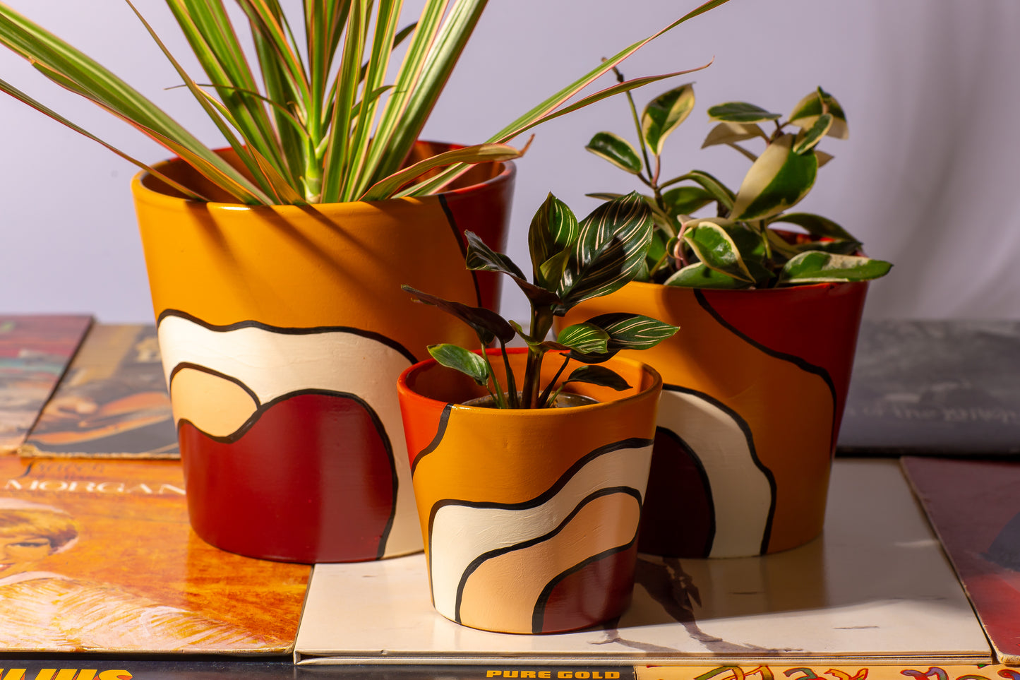 Desert Days Bundle
