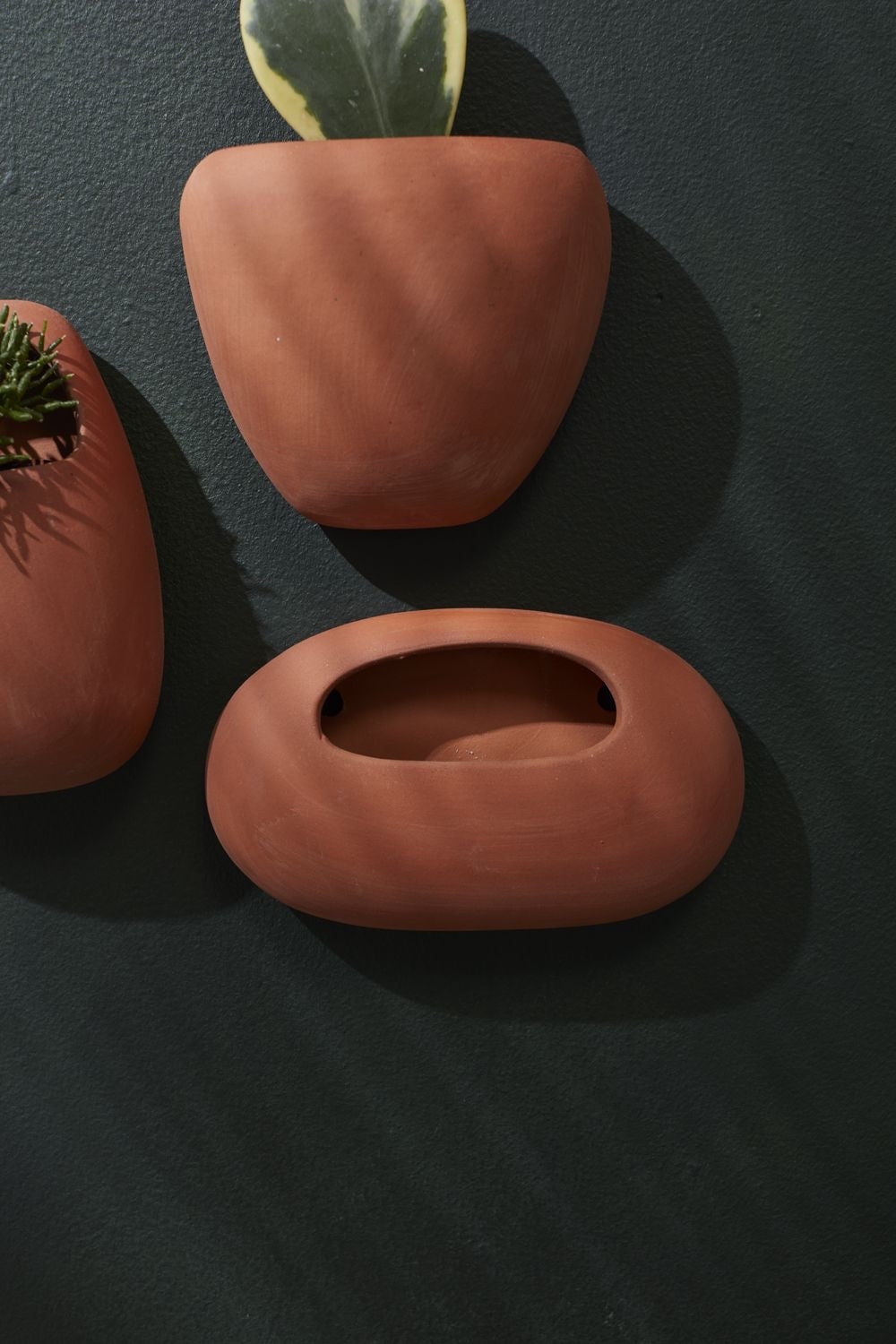 Solento wall Planter (egg)