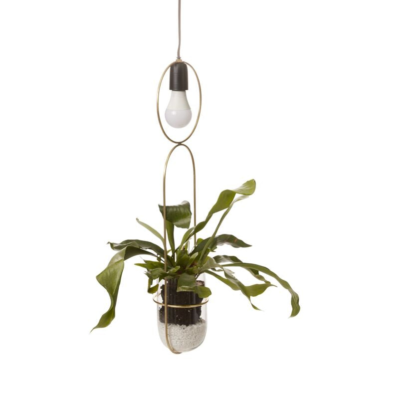 KOL Hanging Planter Pendant Light - Clear
