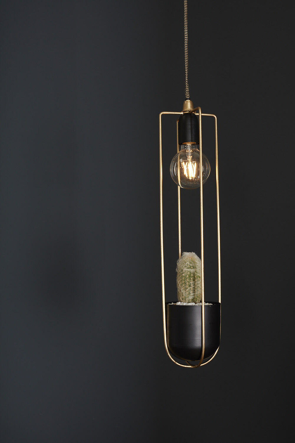 hanging light with planter KOL Hanging Planter Pendant Light – Pepper Palm