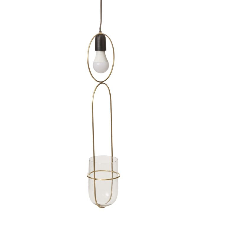 KOL Hanging Planter Pendant Light - Clear