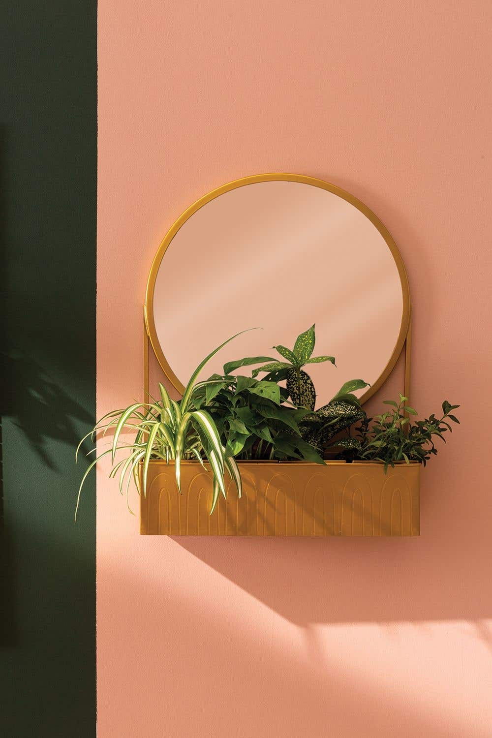 mirrors for indoor plants Mirror Mirror with the Plants – Pepper Palm