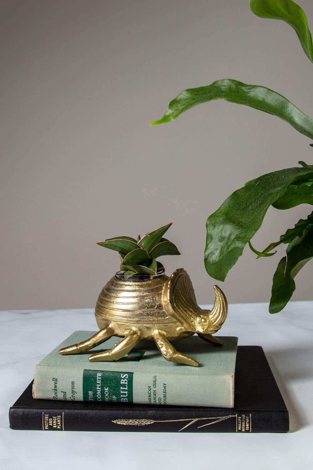 Scrab Pot