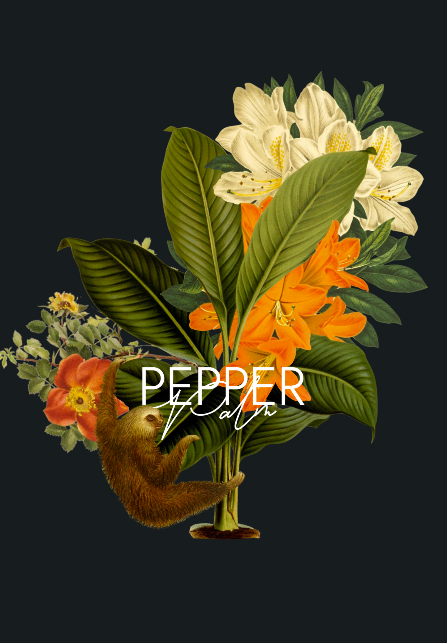 Mr. Sloth & The Lily Palm