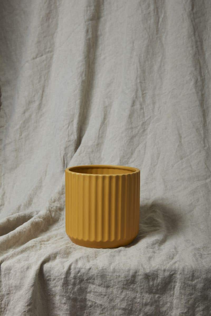 Beam Pot