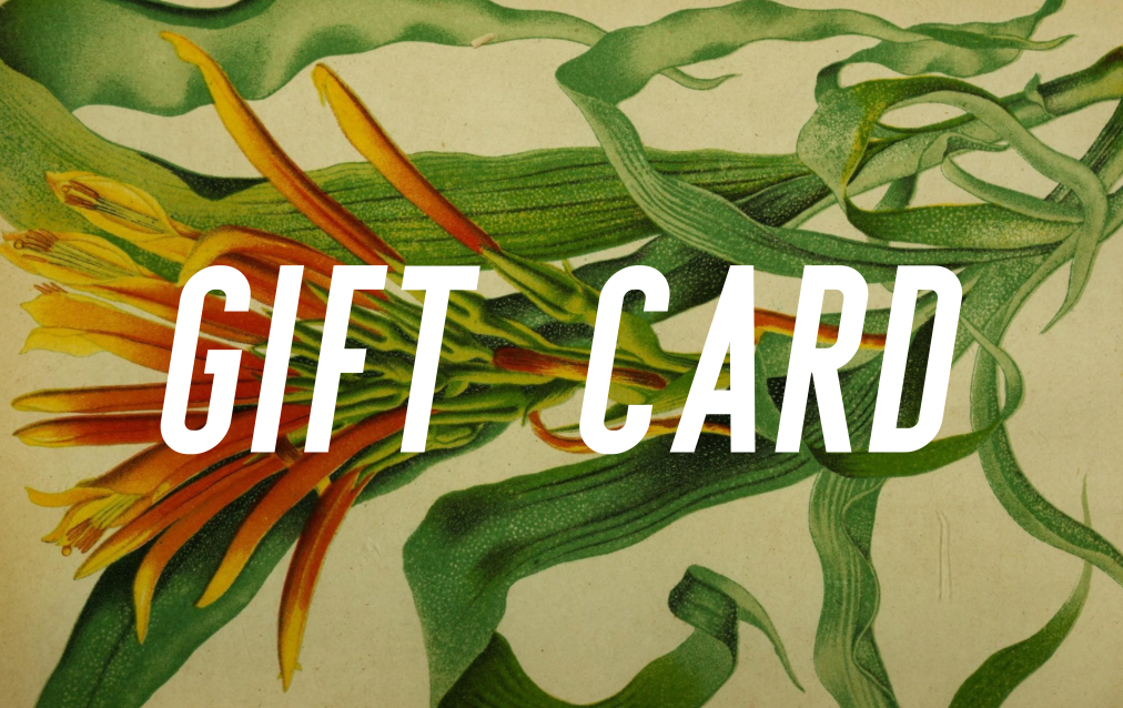 Pepper Palm Gift Card