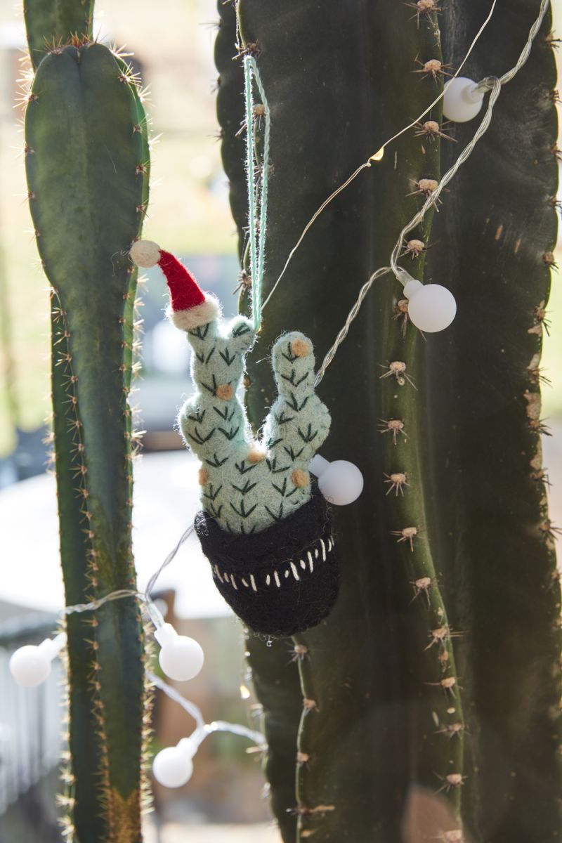 Hat Cactus ornament