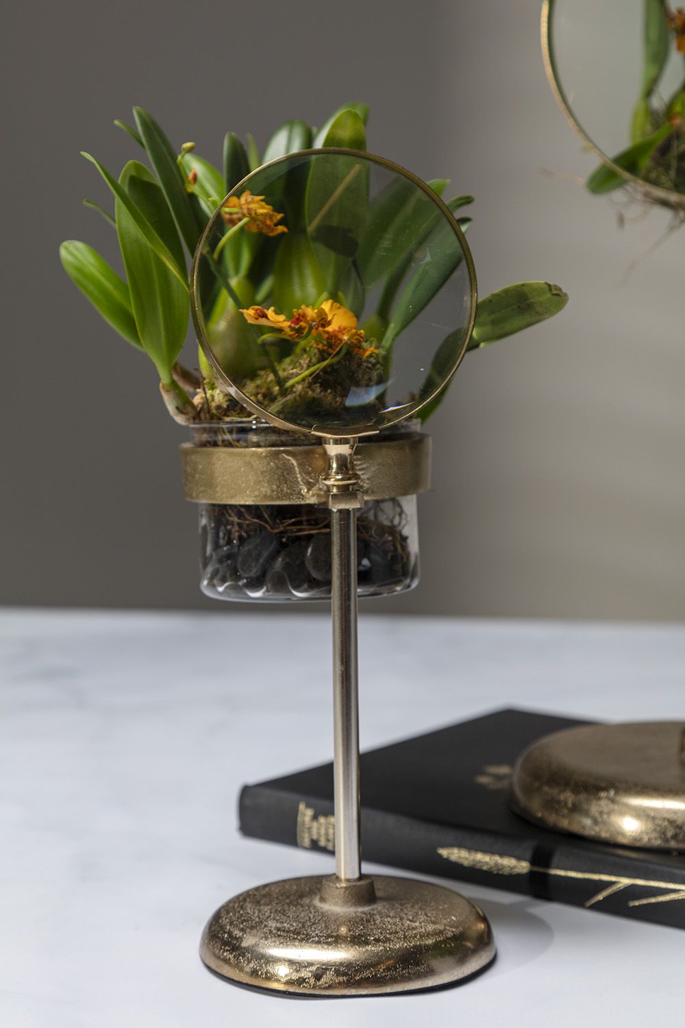 Spyglass planter (small)