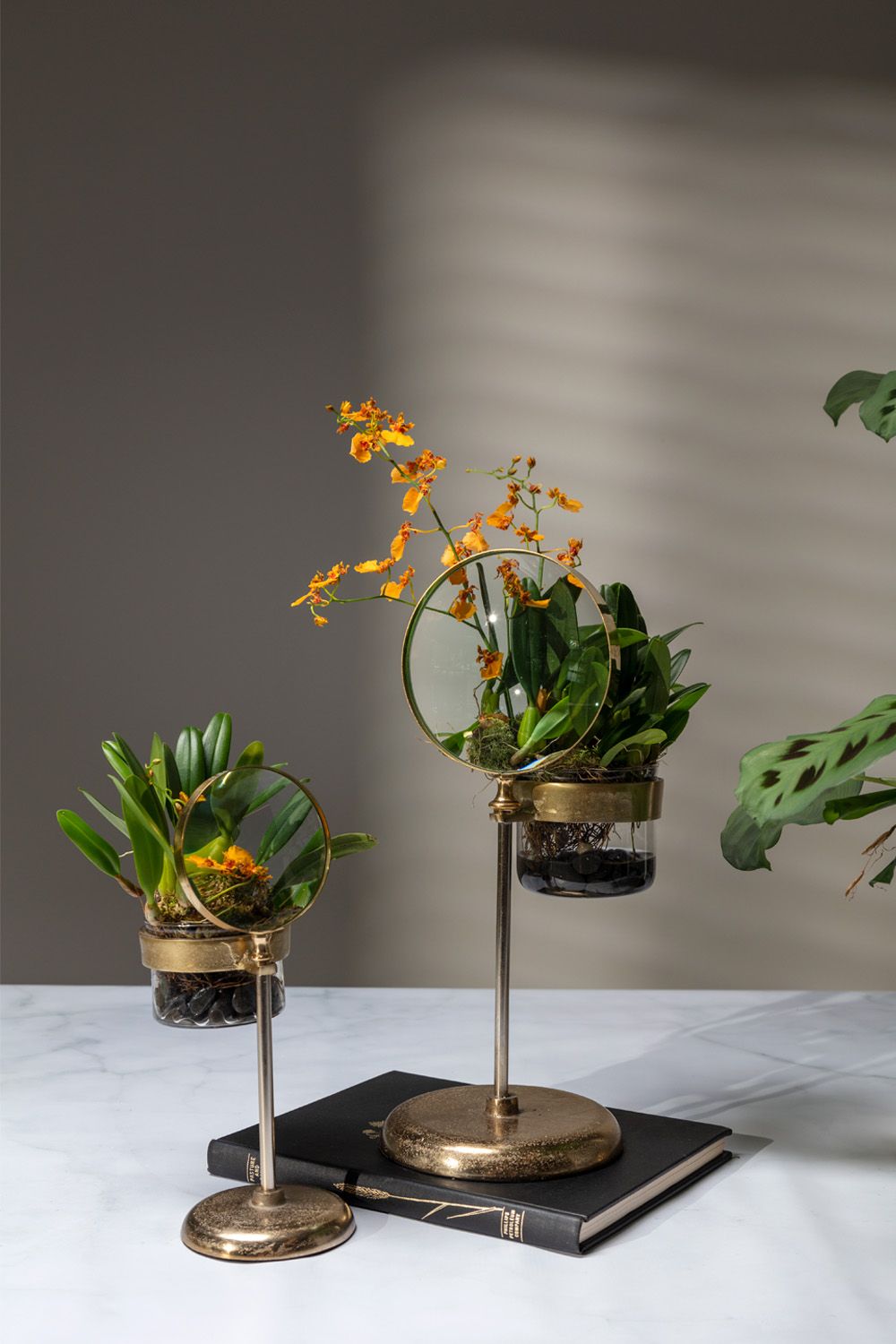 Spyglass planter (small)