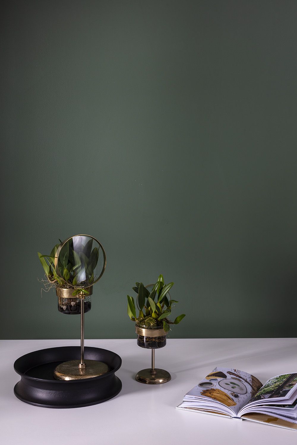 Spyglass planter (large)