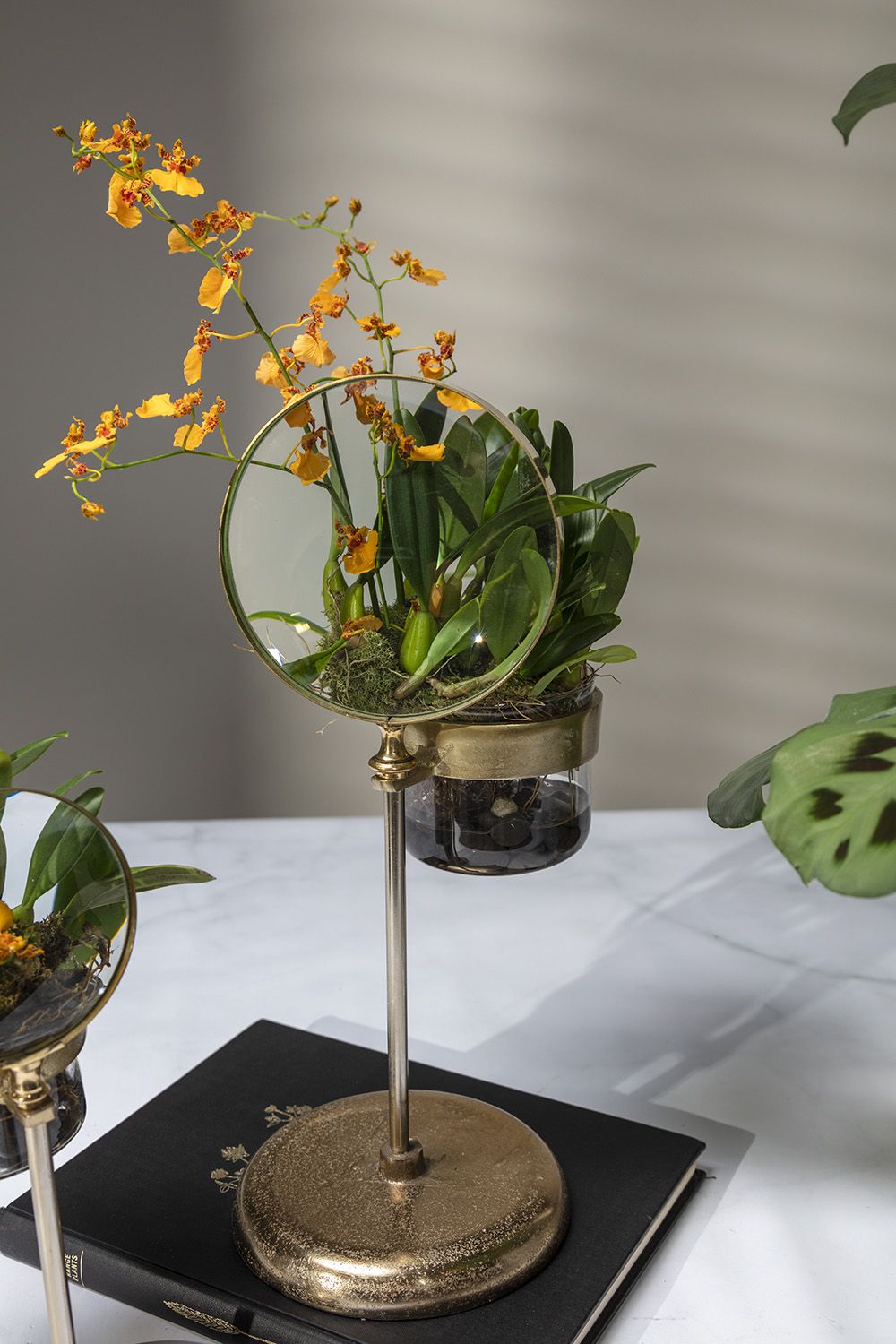 Spyglass planter (large)