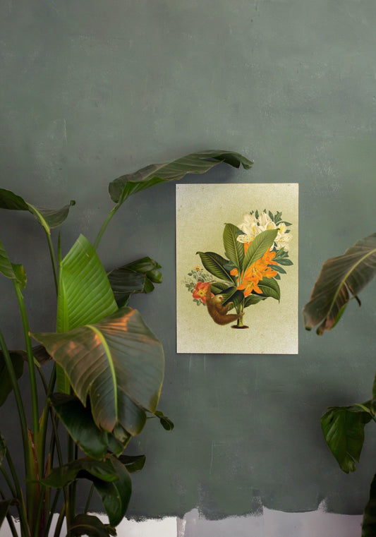 Mr.Sloth and The Lily Palm