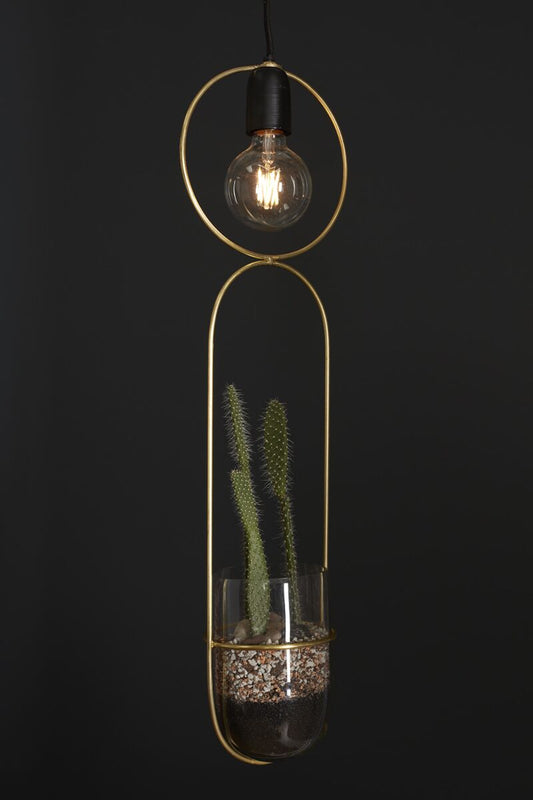 KOL Hanging Planter Pendant Light - Clear