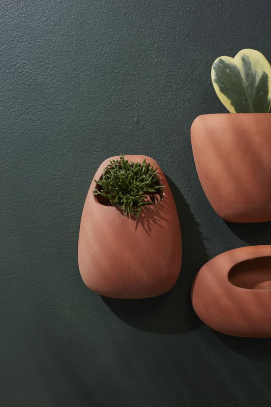 Solento wall Planter (oval)