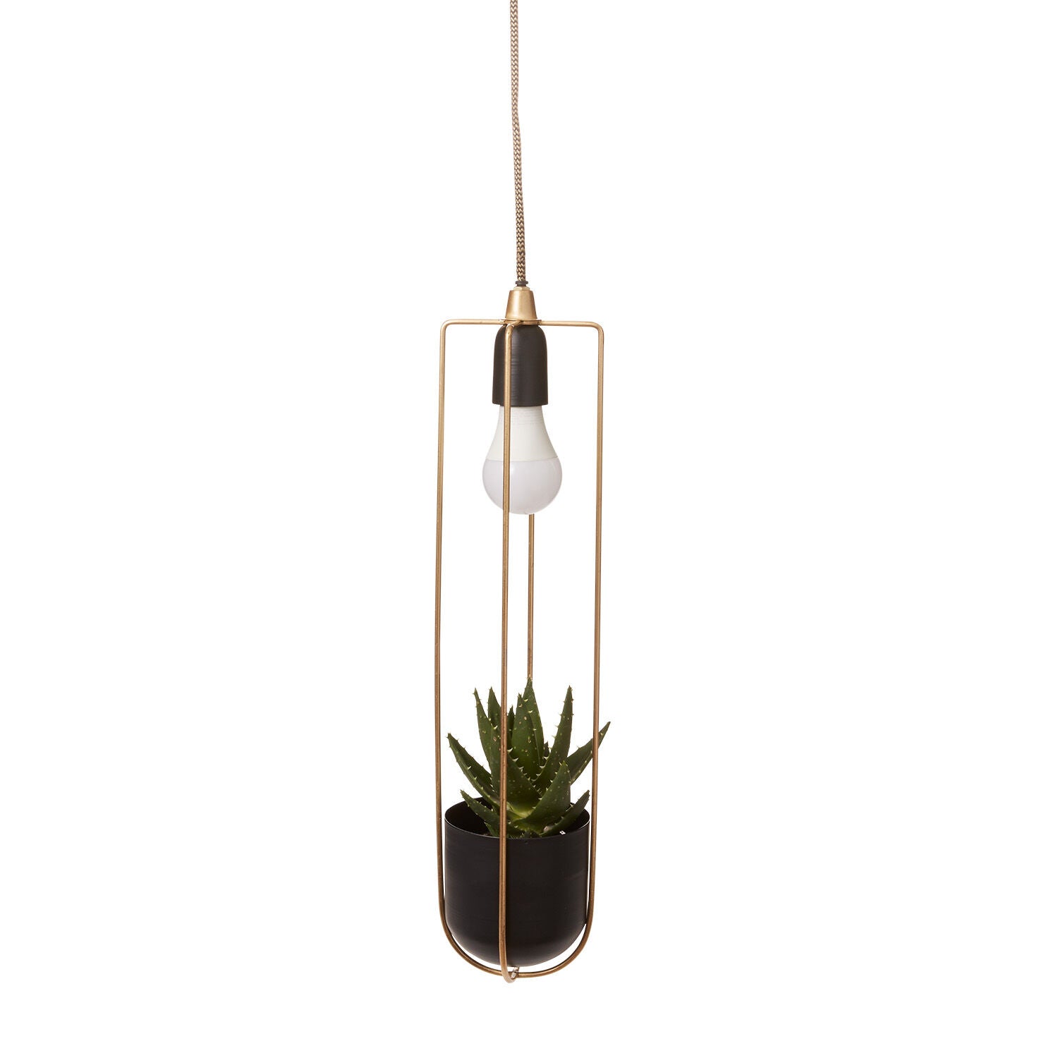 hanging plant light pendant KOL Hanging Planter Pendant Light – Pepper Palm