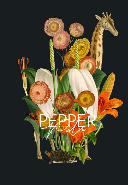 Where You Going Mr. Snail