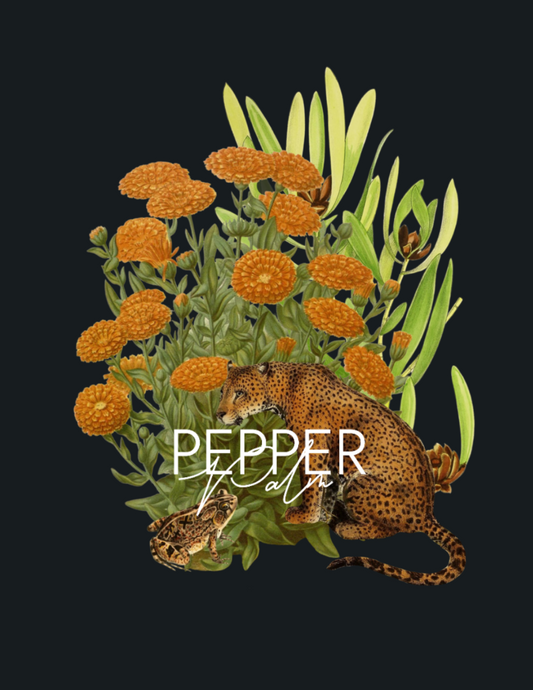 The Jaguar & The Toad